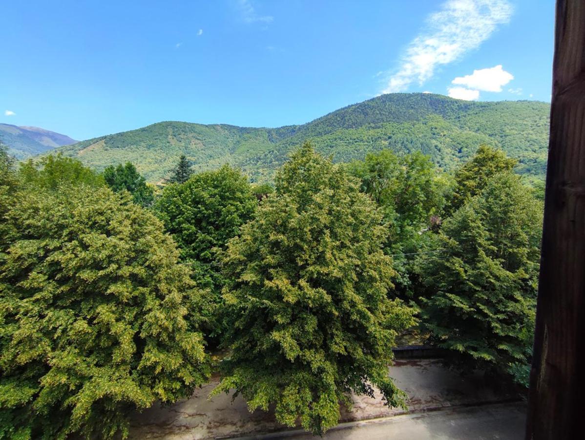 Bagnères-de-Luchon T3 Les Jardins De Ramel, Parking, Balcon, Ascenseur, 5 Personnes 아파트 외부 사진